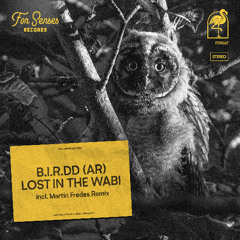 PREMIERE: Lost in the wabi - B.I.R.DD (Ar) (Original Mix) [For Senses]