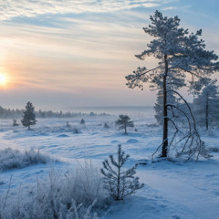 Serene Evening