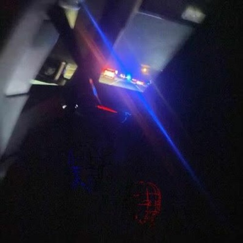 SHFTR - CRUISIN (FF004)(FREEDL)