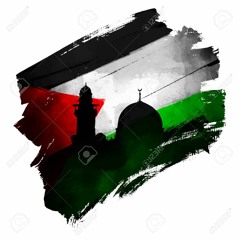 Free Palestine 🇵🇸