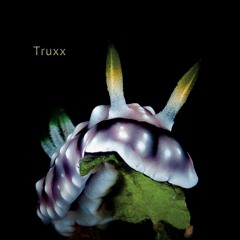 PREMIERE: Truxx - Muzan [SS7.010EP]