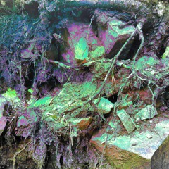 Menkää metsään hipit [Roskareggae]