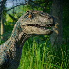 N.L.T - Raptors