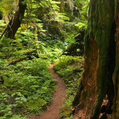 Big Potential Energy 2020 Mix