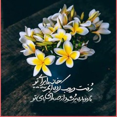 Salwat_e_Kamila_By_Syed_Jaffar_Ul_Zaman_Naqvi___Ya_Raba_Dua_Imam_Mehdi_as__