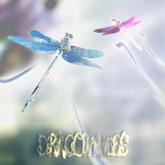 Dragonflies (Sunspeaker Remix)