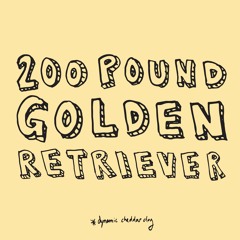 200 Pound Golden Retriever
