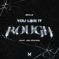 You Like It Rough (feat. Lee McKing) [Extended Mix]