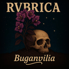 Buganvilia
