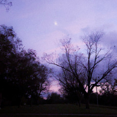 you will always remember me (slowed)