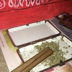 CREEP DAWG WIT A BLUNT