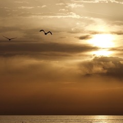 Sound Pictures -Golden time-