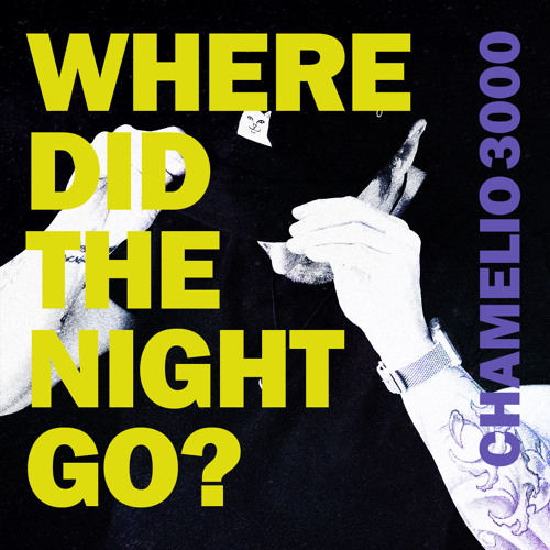 Chamelio 3000 *livemix* - Where did the night go January 2022