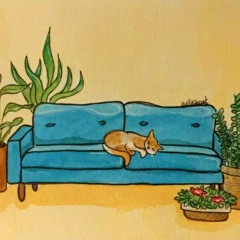 sunday sunrise ~ Kyuta x sacha