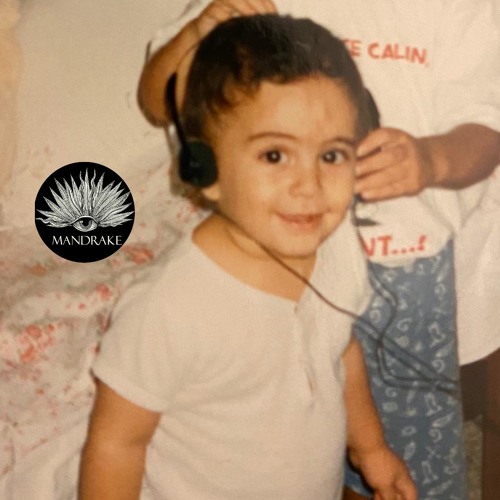 The Mandrake - 20/09/25