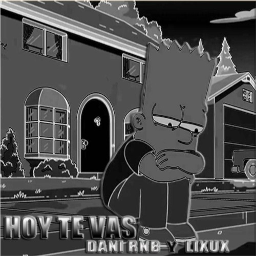Stream HOY TE VAS - Dani RnB ft Lixux - Yels beat by Lixux Figueredo |  Listen online for free on SoundCloud