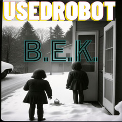 B.E.K.