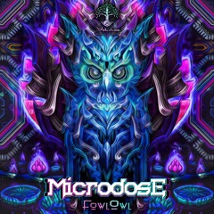 1. FowlOwl - Microdose (Original Mix)