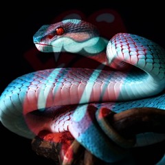 snakebite- code80 + unki OG VERSION 2 (prod.by yungjuzo)