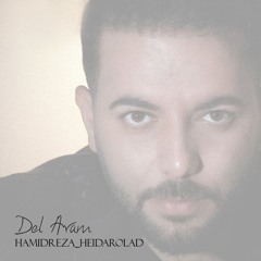 Del Aram Hamid Reza Heidarolad آهنگ جدید دل آرام حمیدرضا حیدراولاد