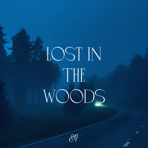 Lost In The Woods