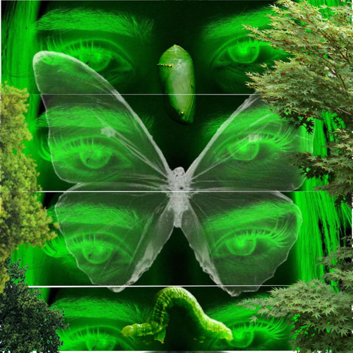 trees