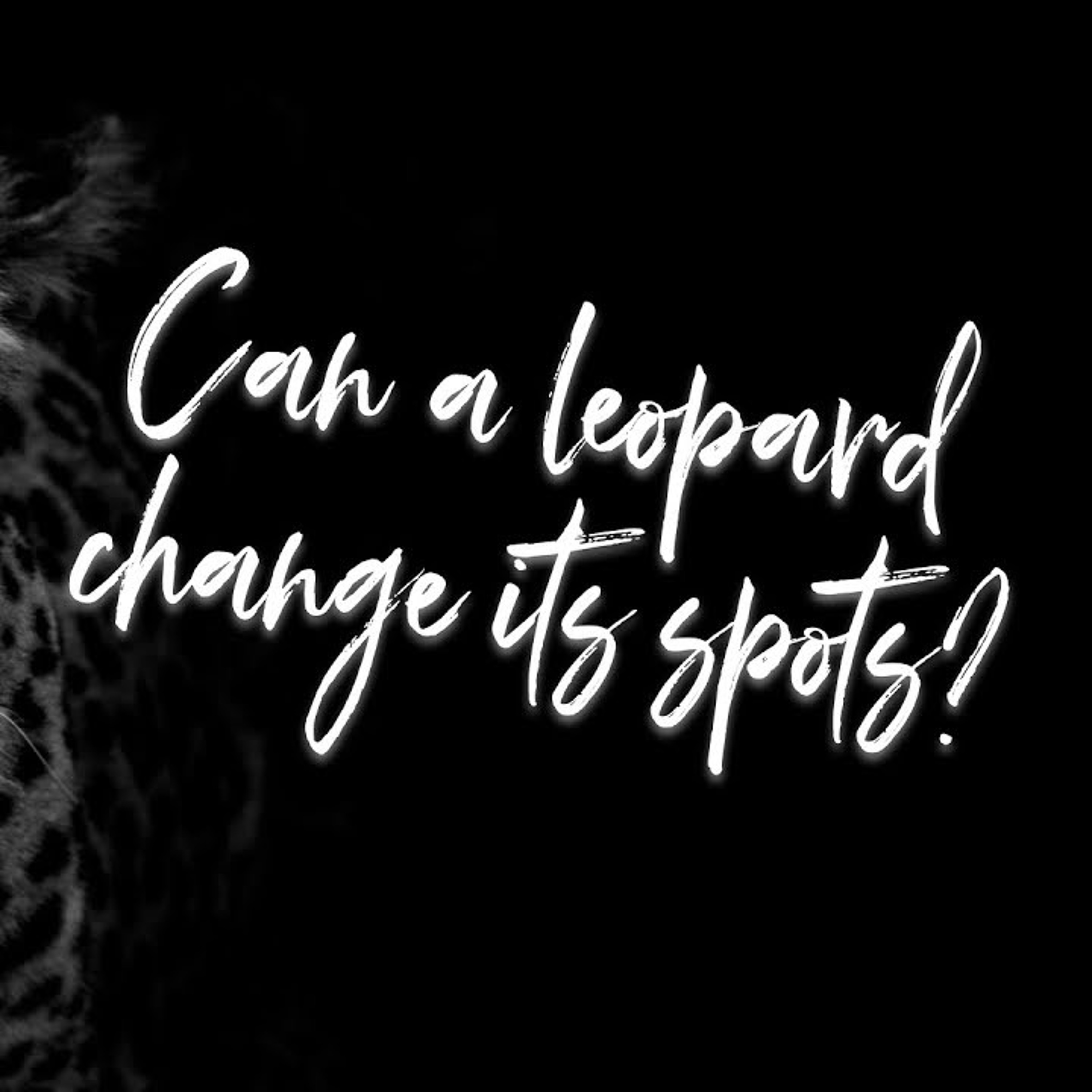 Power And Authority | Can A Leopard Change Its Spots | Episode 2 episode artwork