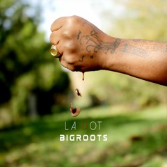 Bigroots_La Dot