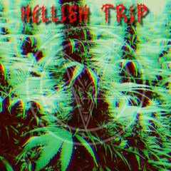 HELLISH TRIP - Electric Smoker