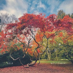 Westonbirt [ Demo ]