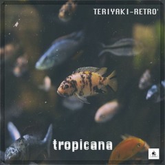 TeriyakiRetro - Nazca