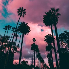 Ayzha Nyree-No Guidance (remix)