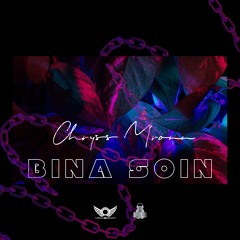 Bina Soin