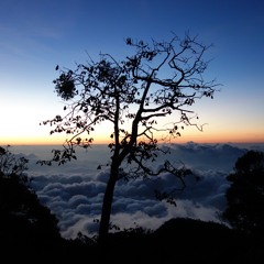 The Edge Of The World