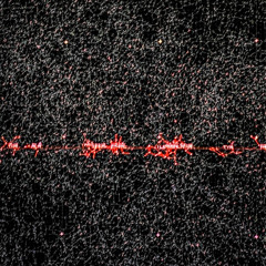 VIHAAN TÄTÄ KULTTUURII (10BAG)