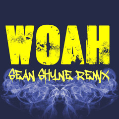 Woah Sean Shyne REMIX