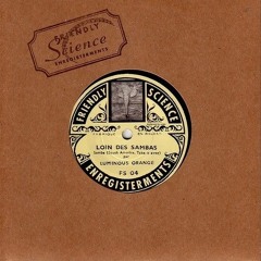 Luminous Orange - Fresh Berry Soup