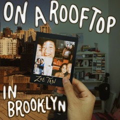 ON A ROOFTOP IN BROOKLYN (DEMO)