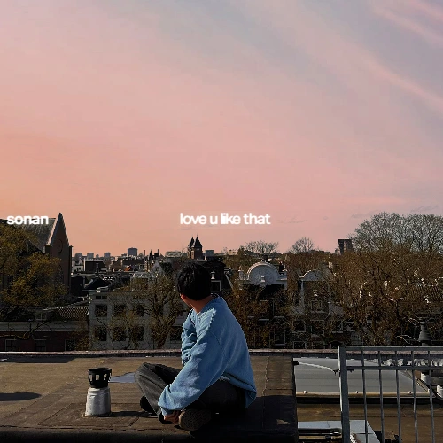 Artwork for the song love u like that by Sonan by Sonan on Next Sound