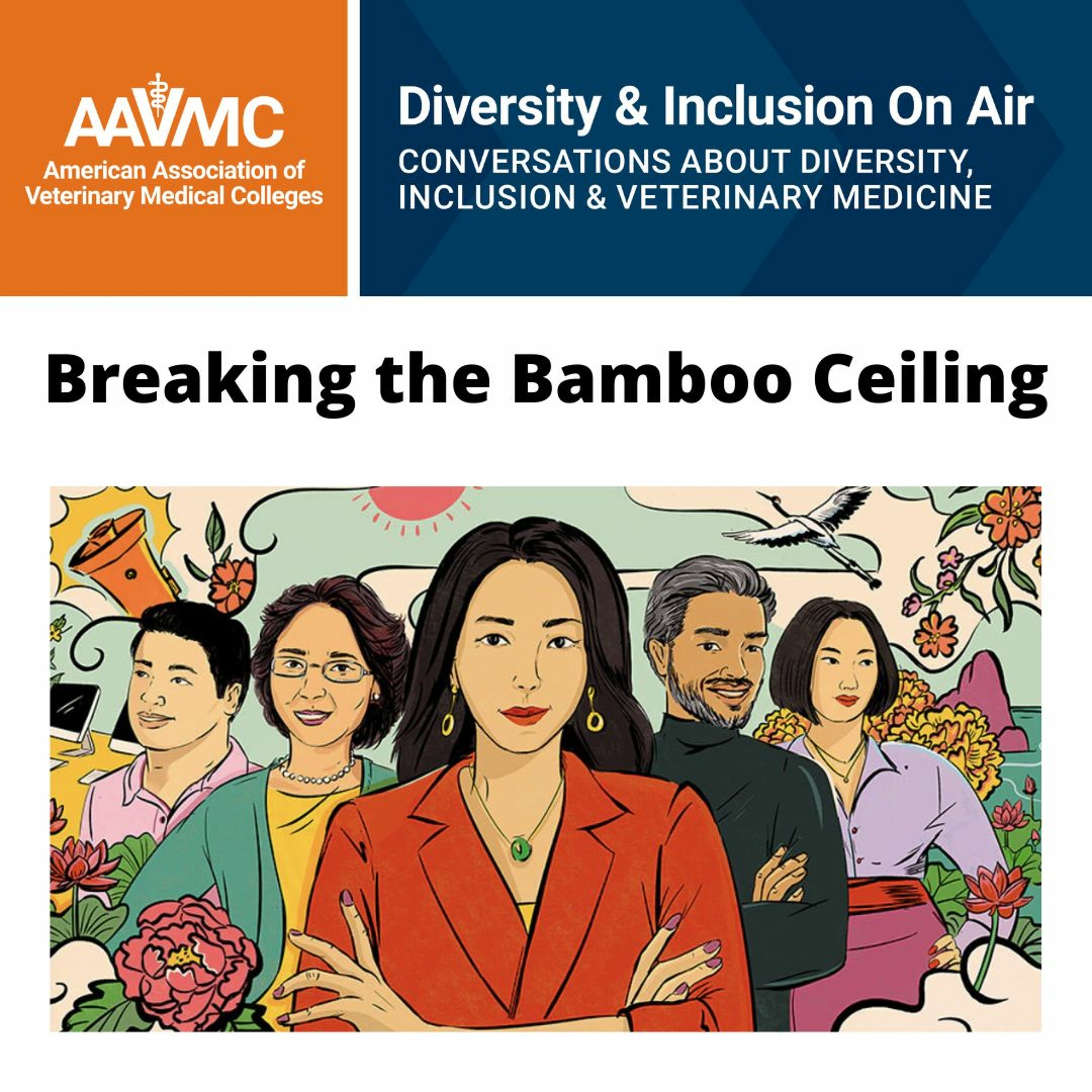 AAVMC\'s On Air: Conversations about Issues in Veterinary Medicine