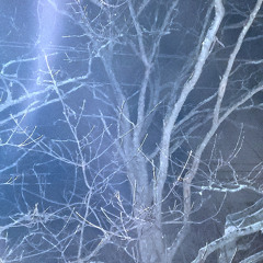 Merry Christmas Mr Lawrence