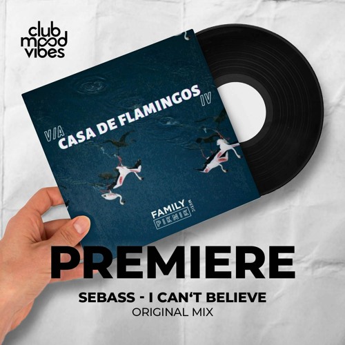 PREMIERE: SEBASS ─ I Can't Believe (Original Mix) [Family Piknik]