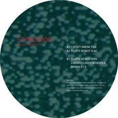 Styro2000 - Fluffy Robot EP(Ion Ludwig Remix) - DARO004