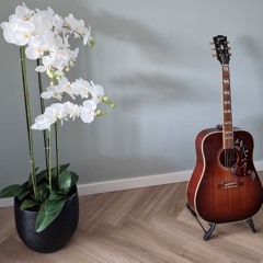 A Girl In The Hotelroom