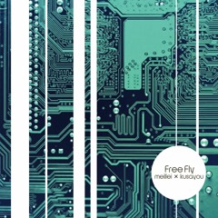 Free Fly (meillei × kusayou)