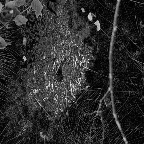 new life, old problems