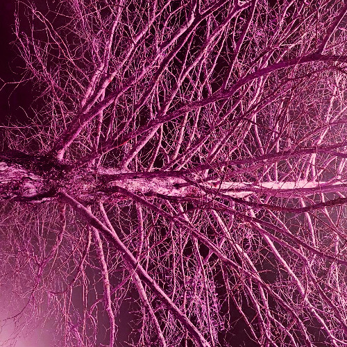 Treebert's Grand Day (153.999 bpm)