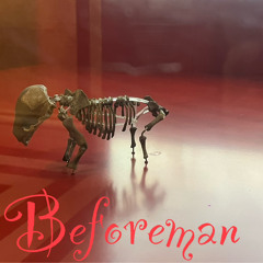 beforeman freestyle