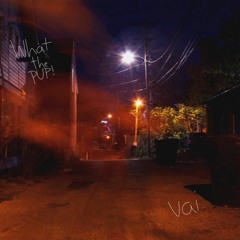 What the PUP! & vai - preparing the for the best / embracing the worst