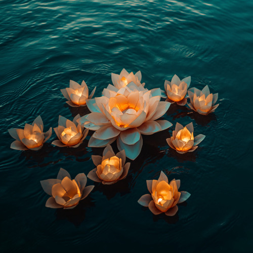 Stream New Wisdom Rising: The Awakening of Women Worldwide by Moments ...